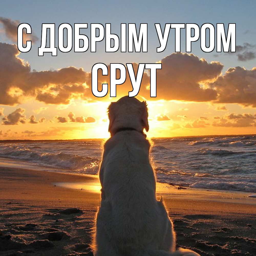 Открытка  с именем. срут, С добрым утром  