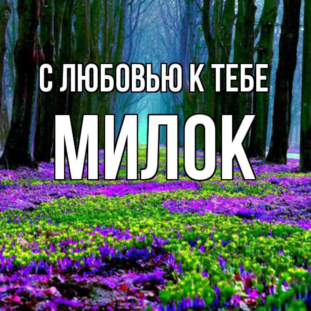 Открытка  с именем. Милок, С любовью к тебе  