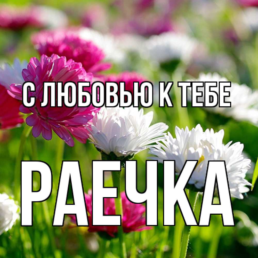 Открытка  с именем. Раечка, С любовью к тебе  