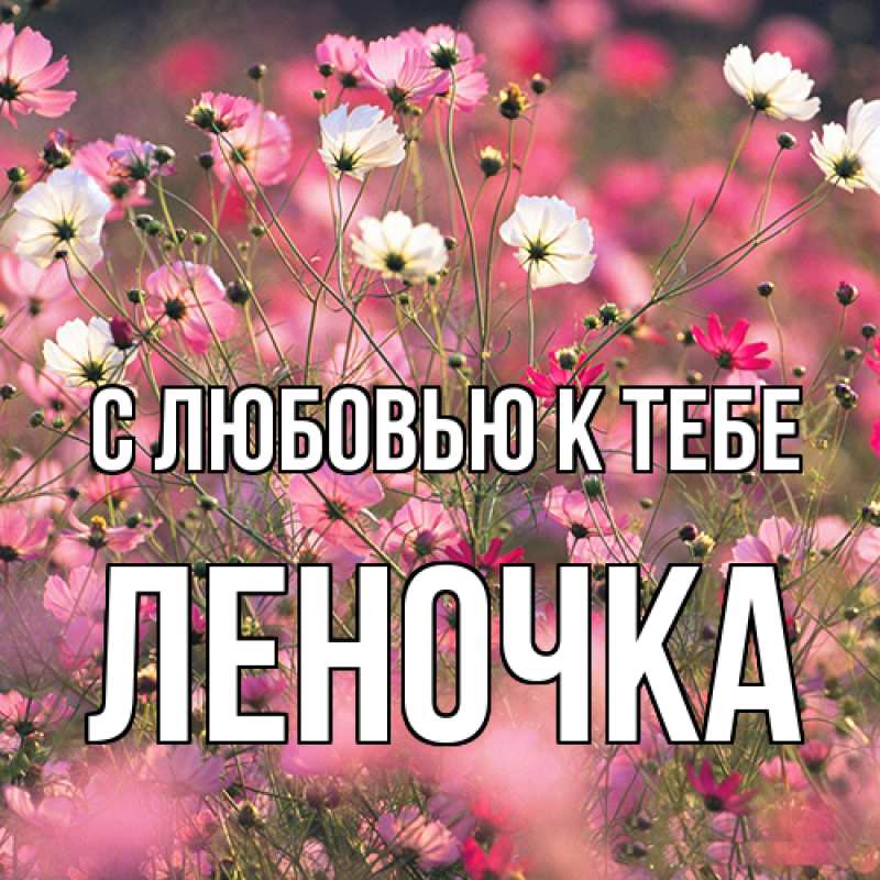 Картинка С любовью к тебе, ЛЕНОЧКА