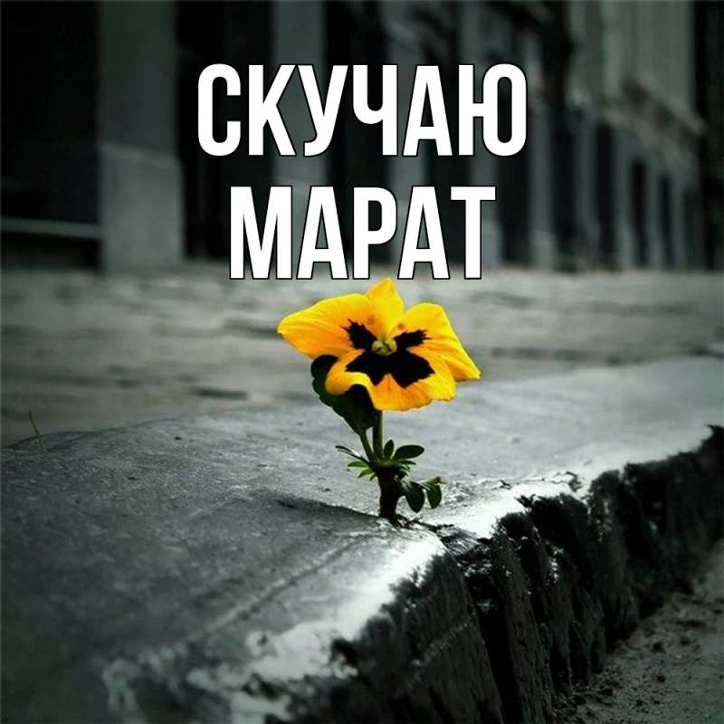 Картинка Скучаю, Марат