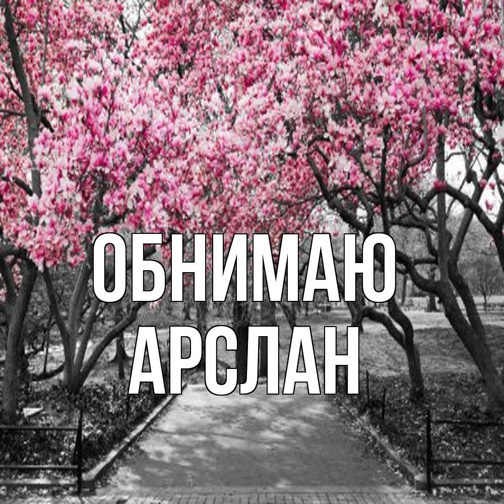 Открытка  с именем. Арслан, Обнимаю  