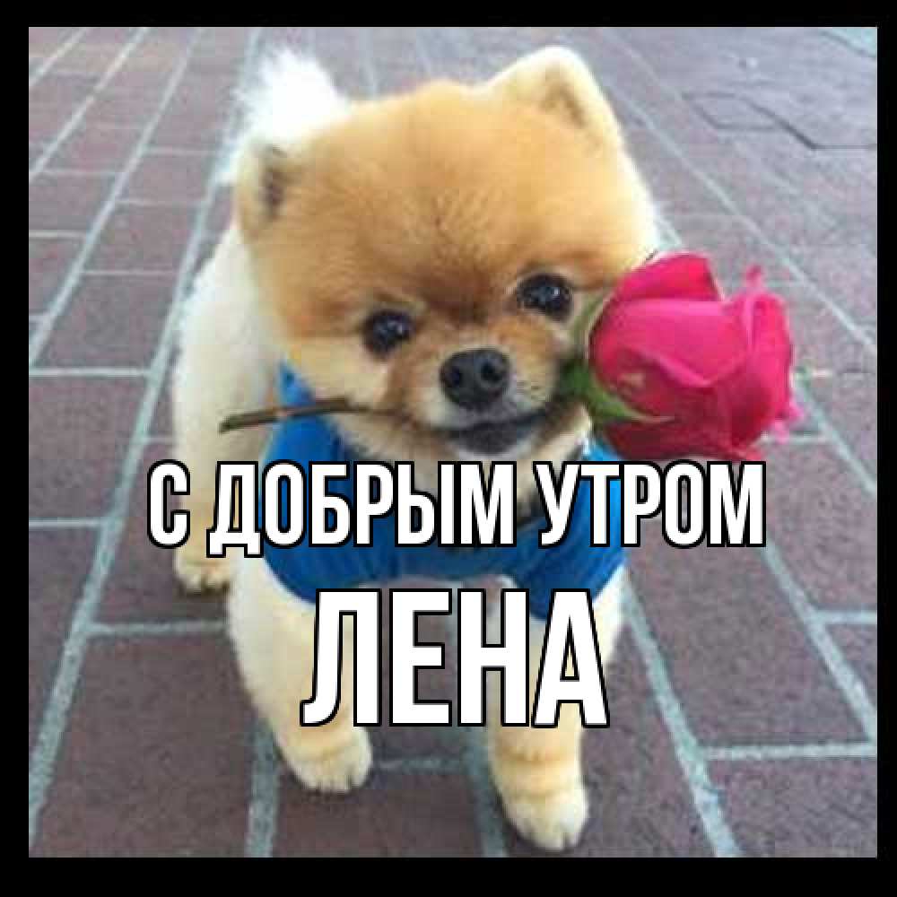 Открытка  с именем. Лена, С добрым утром  