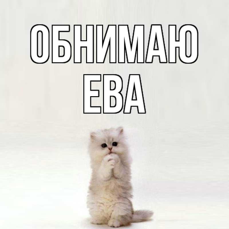 Картинка Обнимаю, Ева