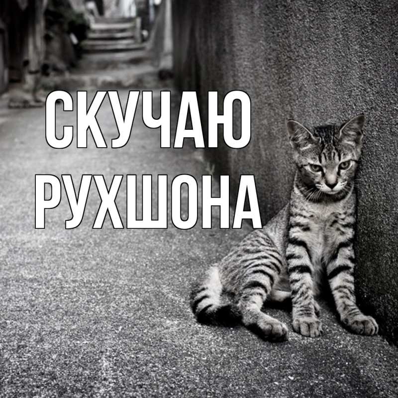 Картинка Скучаю, Рухшона