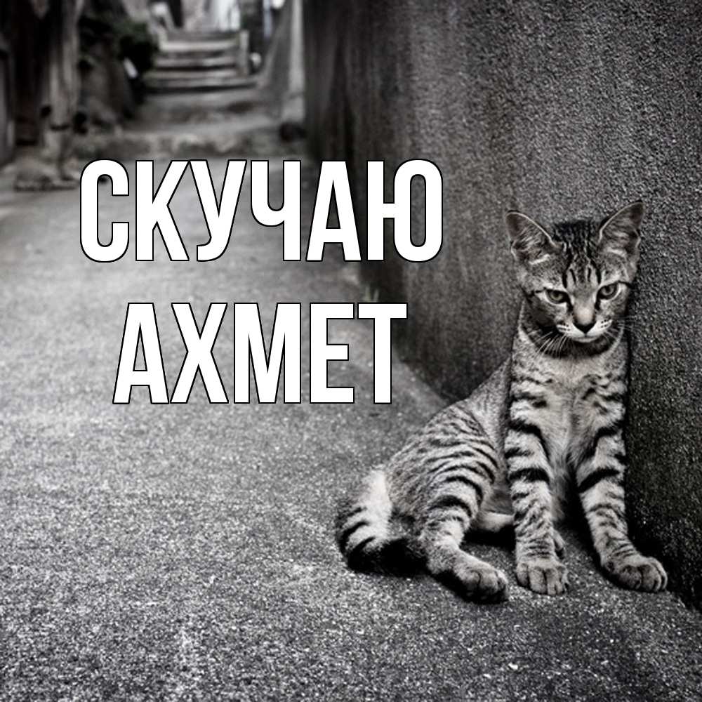 Открытка  с именем. Ахмет, Скучаю  