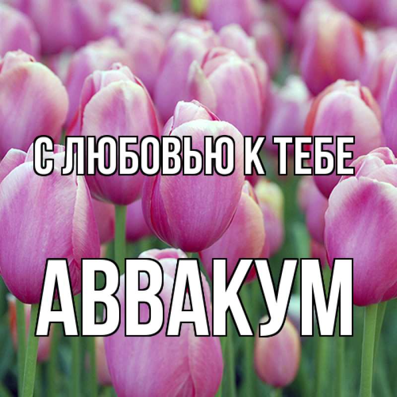 Картинка С любовью к тебе, Аввакум