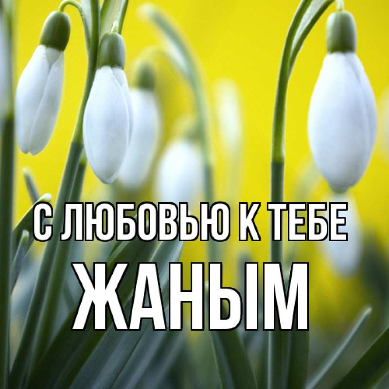 Картинка С любовью к тебе, Жаным