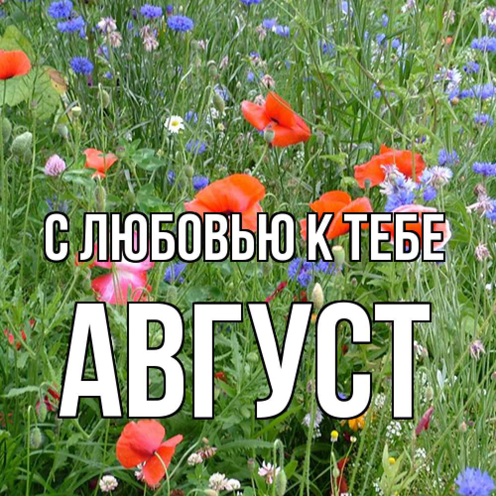 Открытка  с именем. Август, С любовью к тебе  