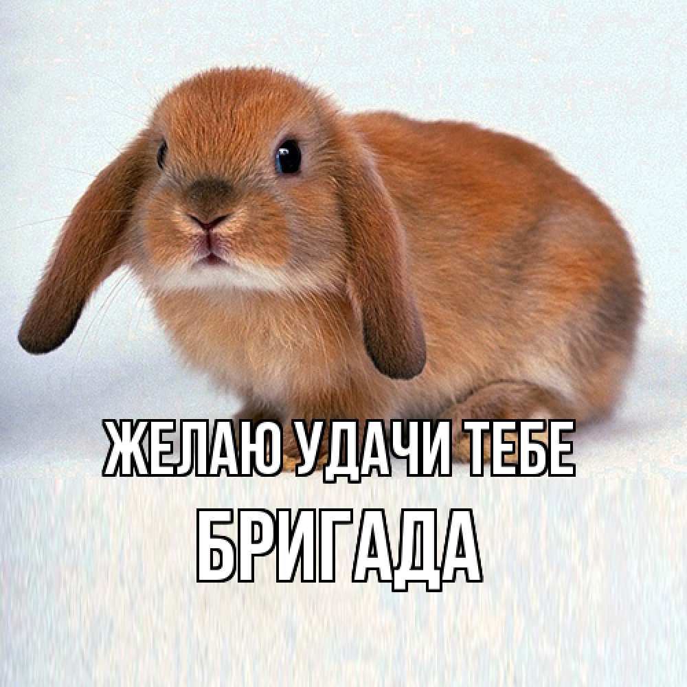 Открытка  с именем. Бригада, Желаю удачи тебе  