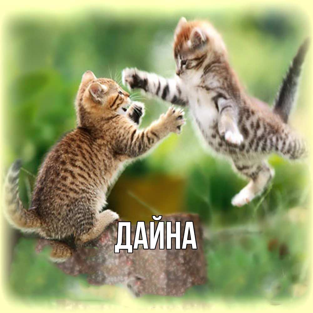 Открытка  с именем. Дайна, Главная  