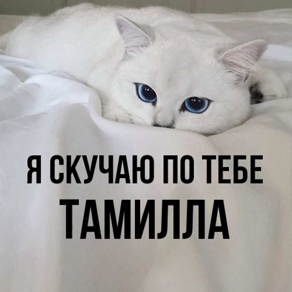 Открытка  с именем. Тамилла, Я скучаю по тебе  