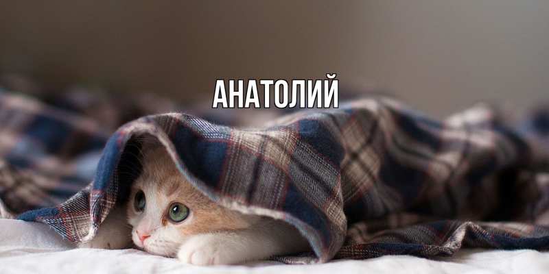 Картинка  с именем , Анатолий
