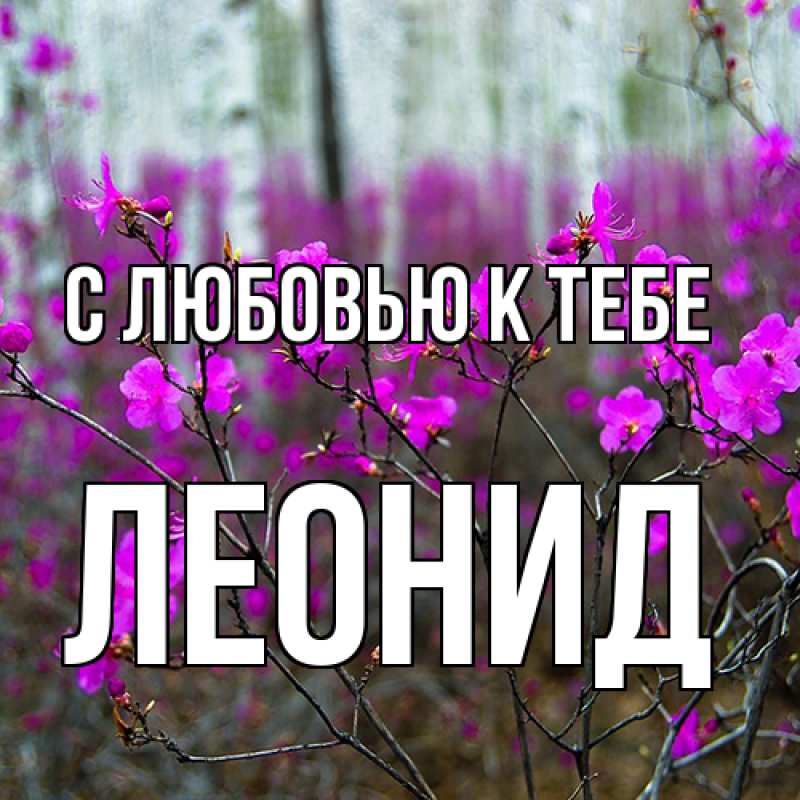 Картинка С любовью к тебе, Леонид