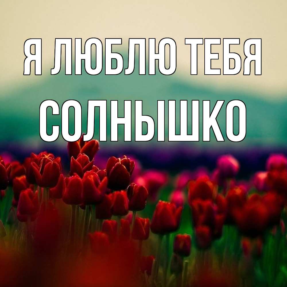Открытка  с именем. Солнышко, Я люблю тебя  