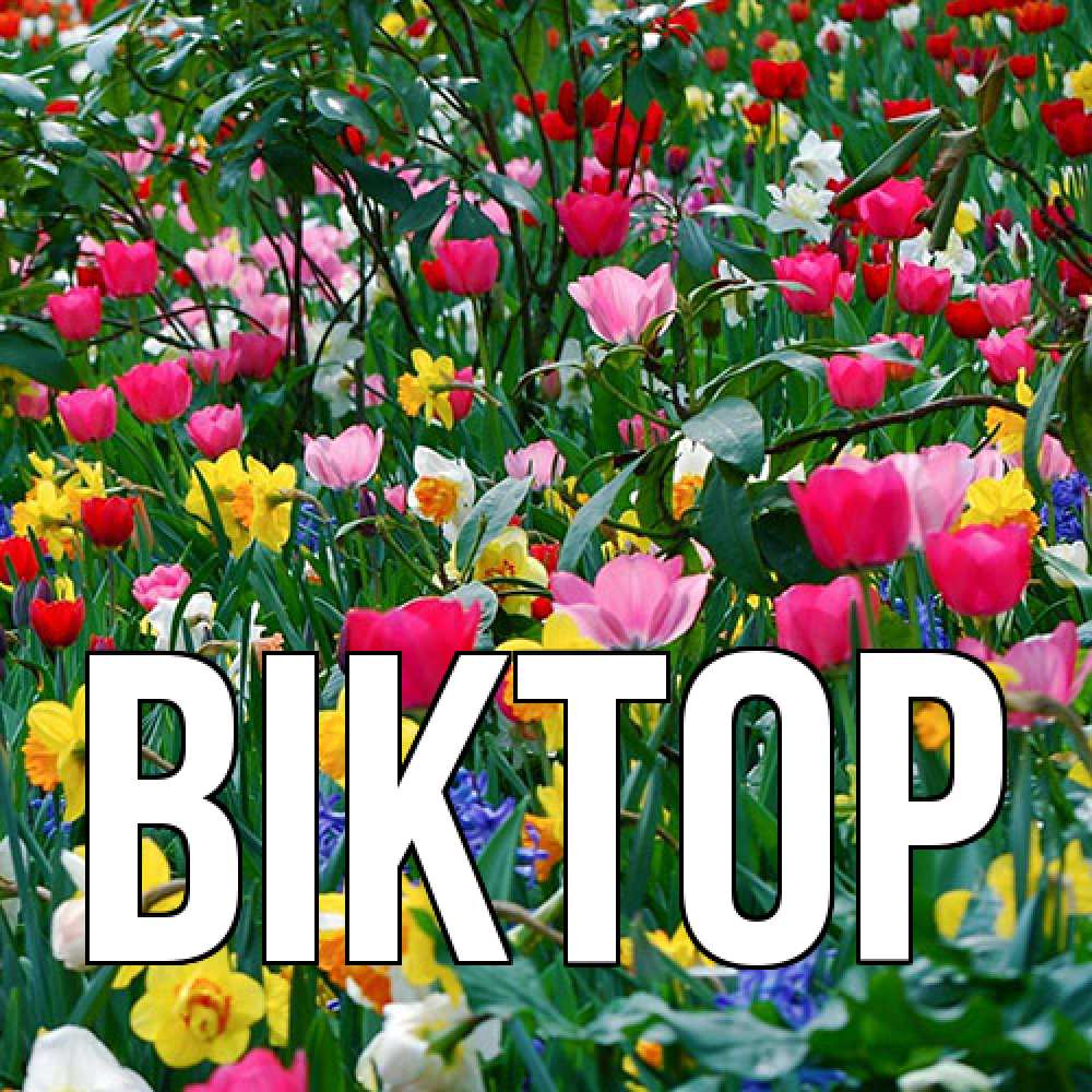 Открытка  с именем. Віктор, Главная  