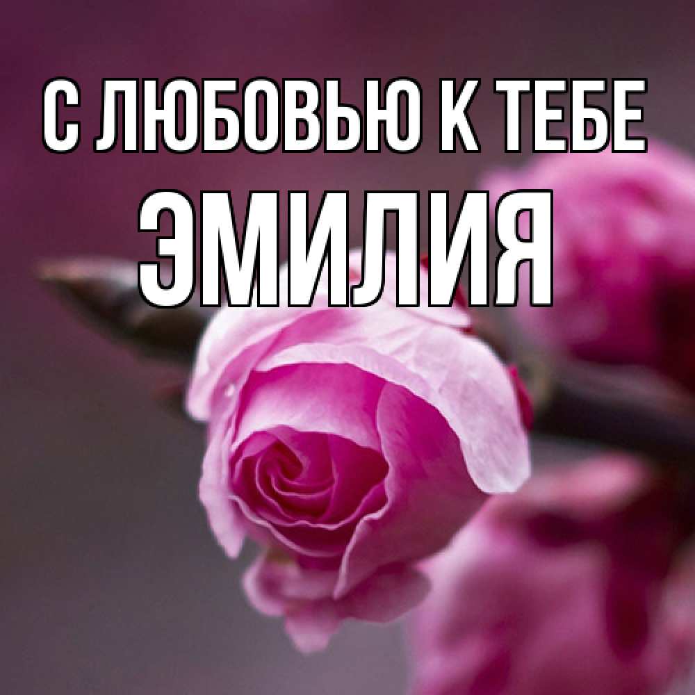 Открытка  с именем. Эмилия, С любовью к тебе  