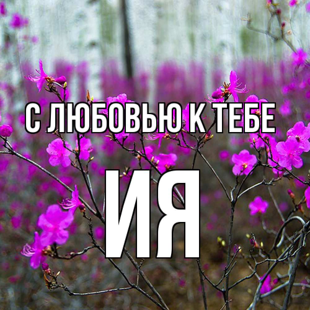 Открытка  с именем. Ия, С любовью к тебе  