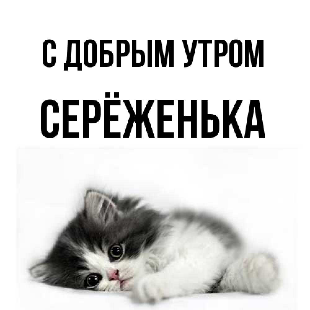 Открытка  с именем. Серёженька, С добрым утром  