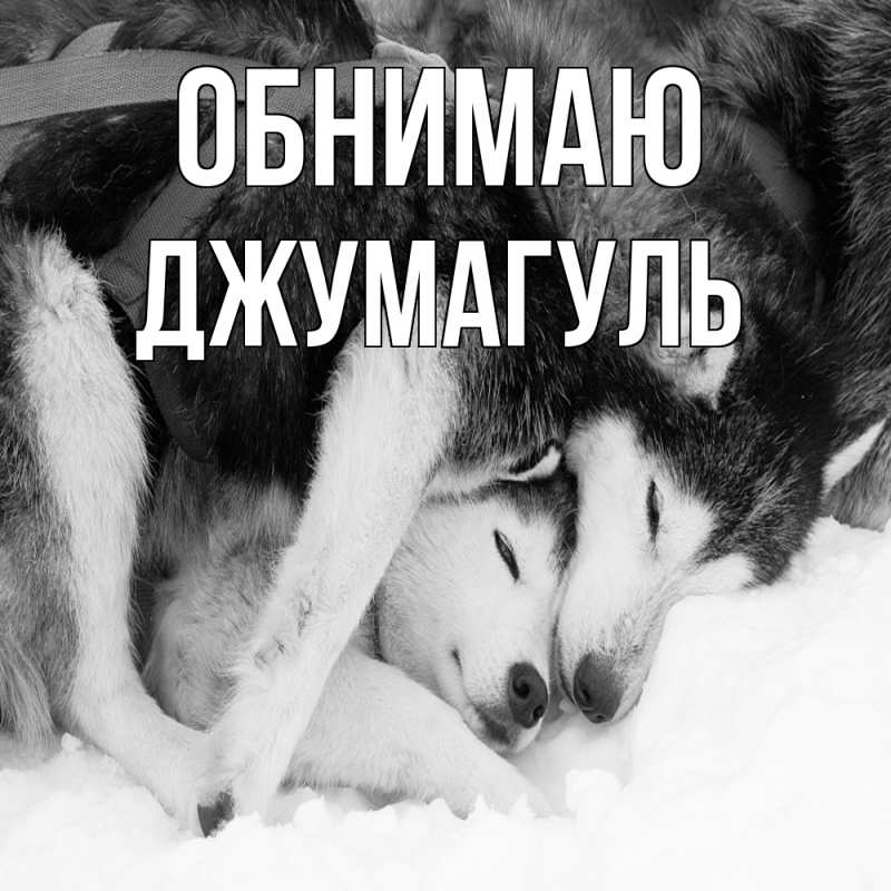 Картинка Обнимаю, Джумагуль