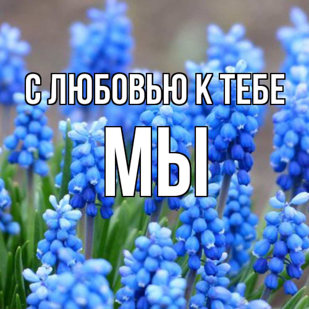 Открытка  с именем. Мы, С любовью к тебе  