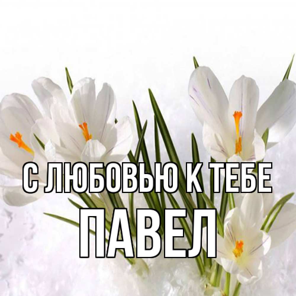 Открытка  с именем. Павел, С любовью к тебе  
