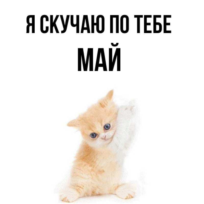 Картинка Я скучаю по тебе, Май