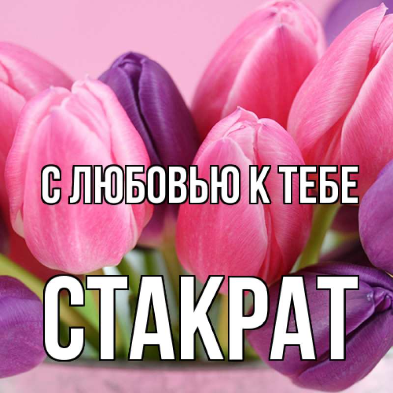 Картинка С любовью к тебе, Стакрат