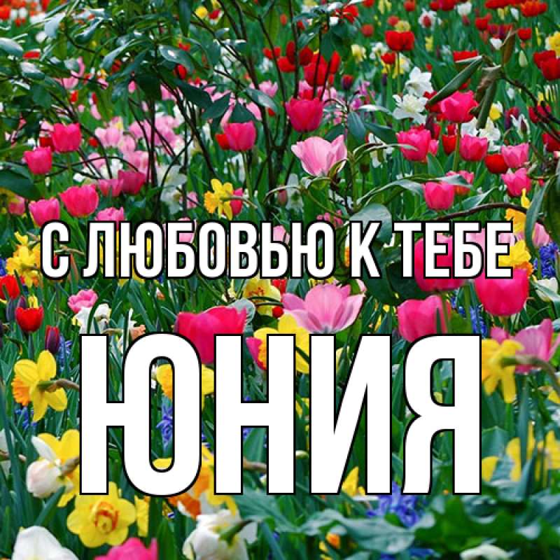 Картинка С любовью к тебе, Юния