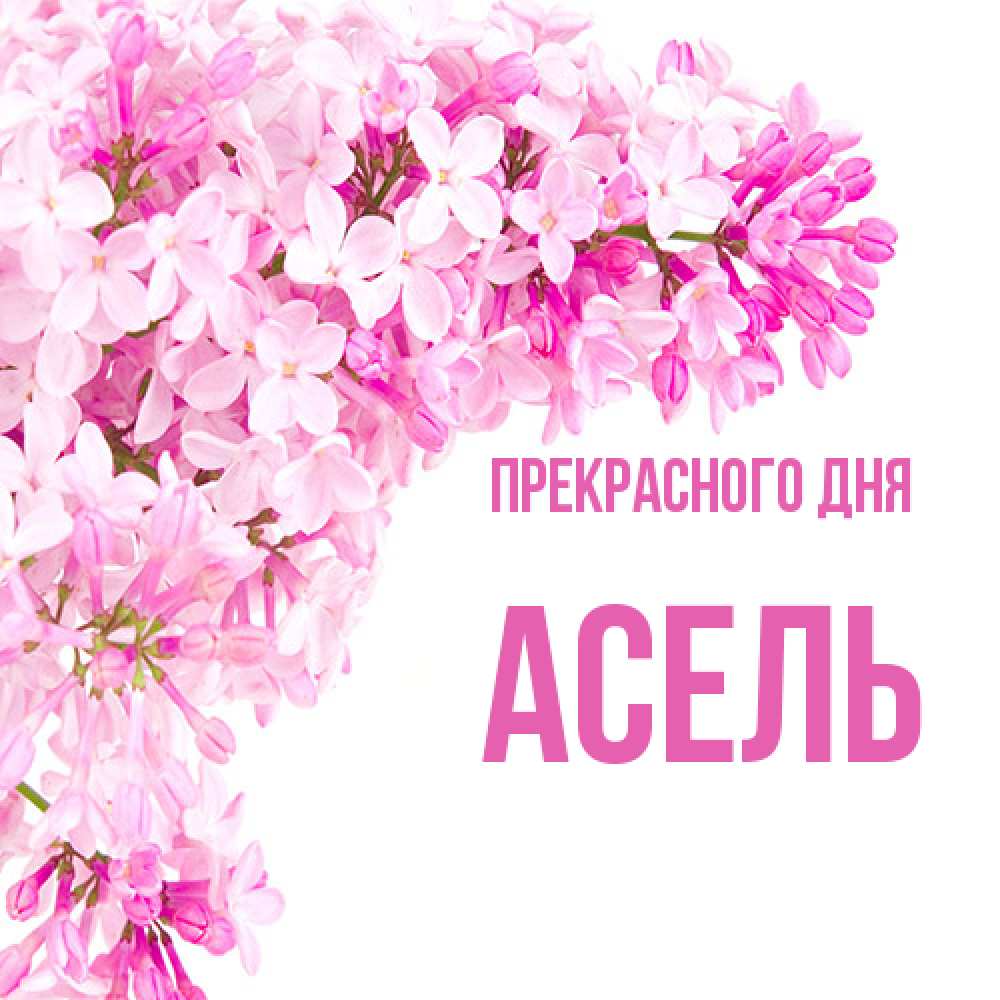 Открытка  с именем. Асель, Прекрасного дня  