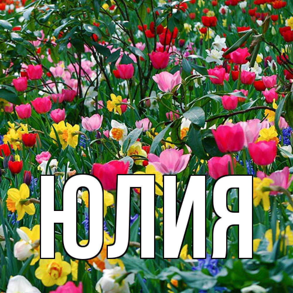 Открытка  с именем. Юлия, Главная  