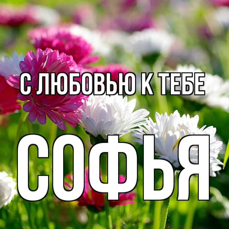Открытка с именем, Софья, С любовью к тебе