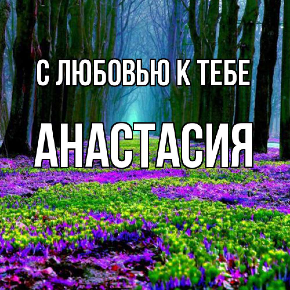 Открытка  с именем. Анастасия, С любовью к тебе  