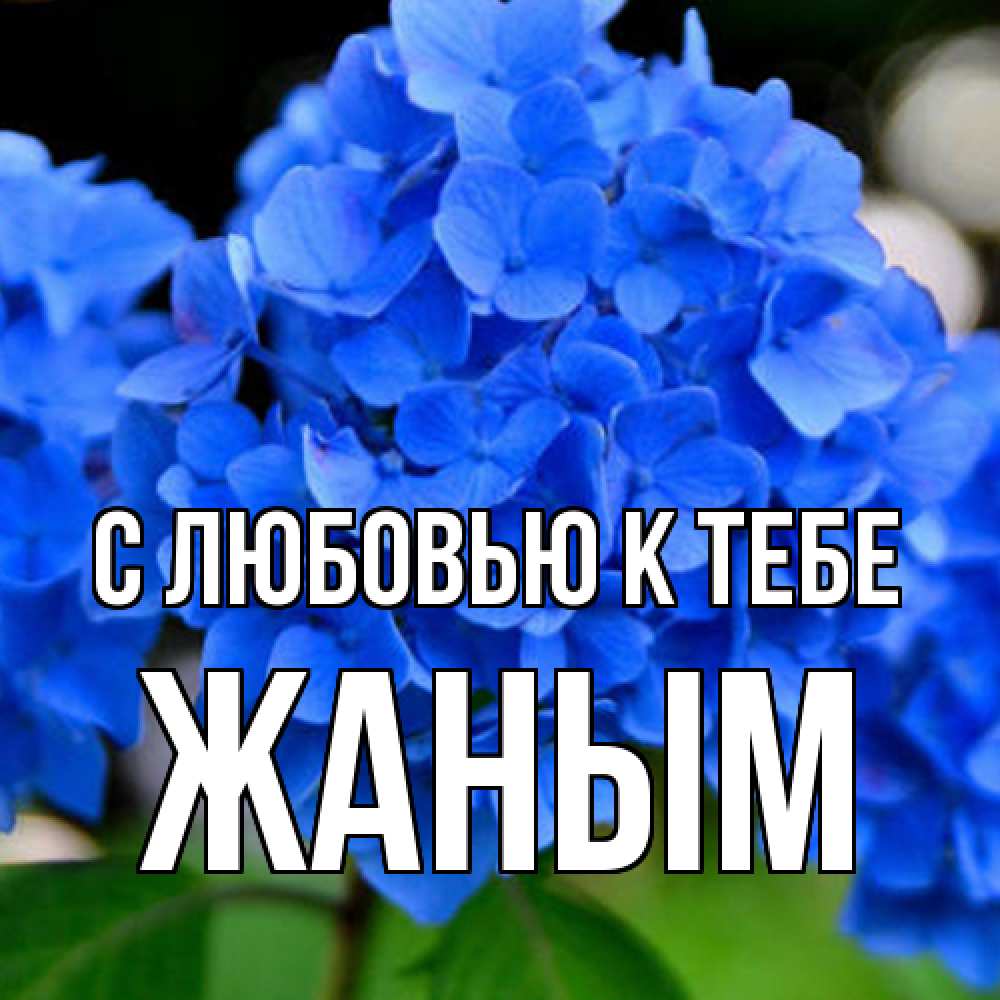 Открытка  с именем. Жаным, С любовью к тебе  