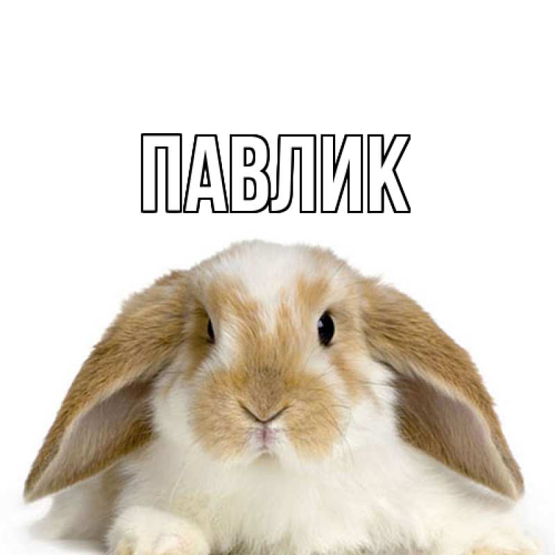 Картинка  с именем , Павлик