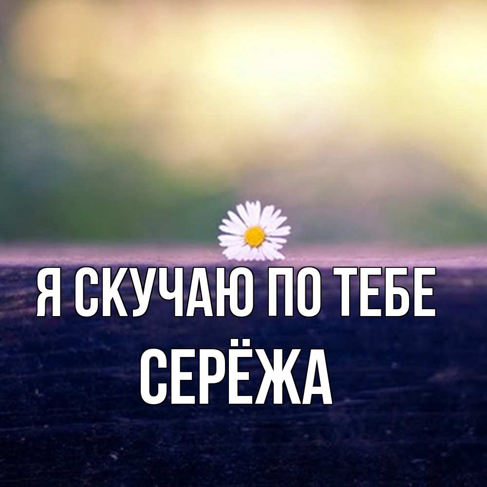 Открытка  с именем. Серёжа, Я скучаю по тебе  