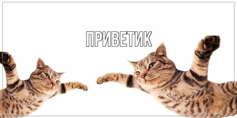 Картинка приветик, 
