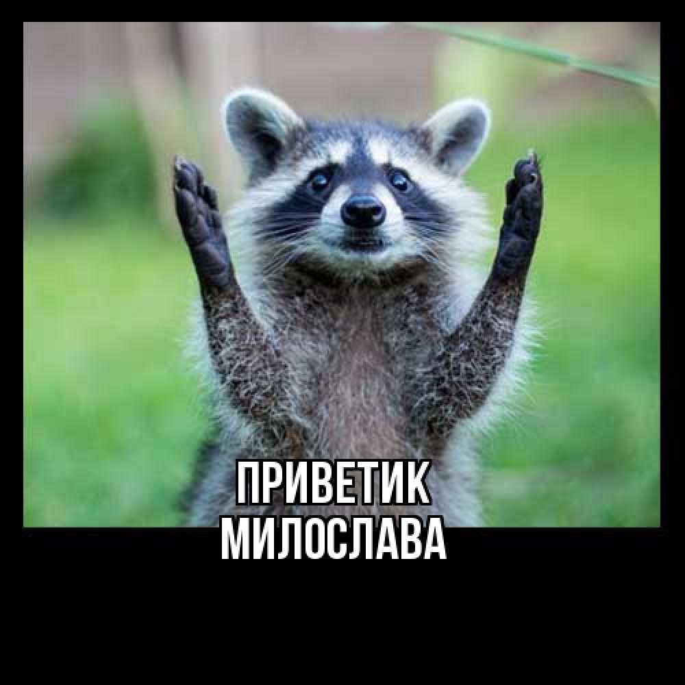 Открытка  с именем. Милослава, приветик  