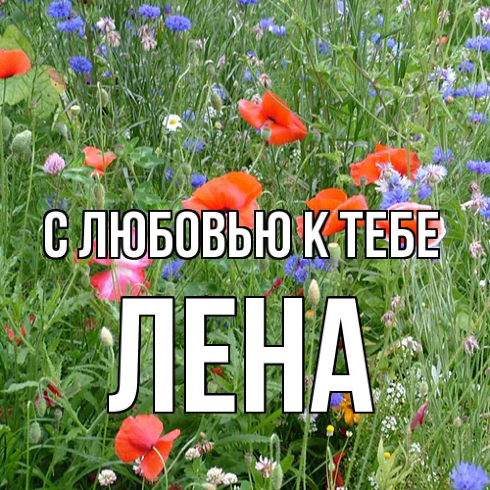 Открытка  с именем. лена, С любовью к тебе  