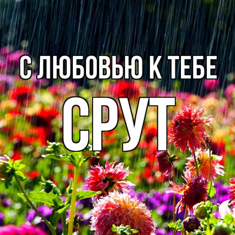 Картинка С любовью к тебе, срут