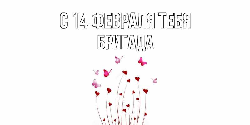 Картинка С 14 февраля тебя, Бригада