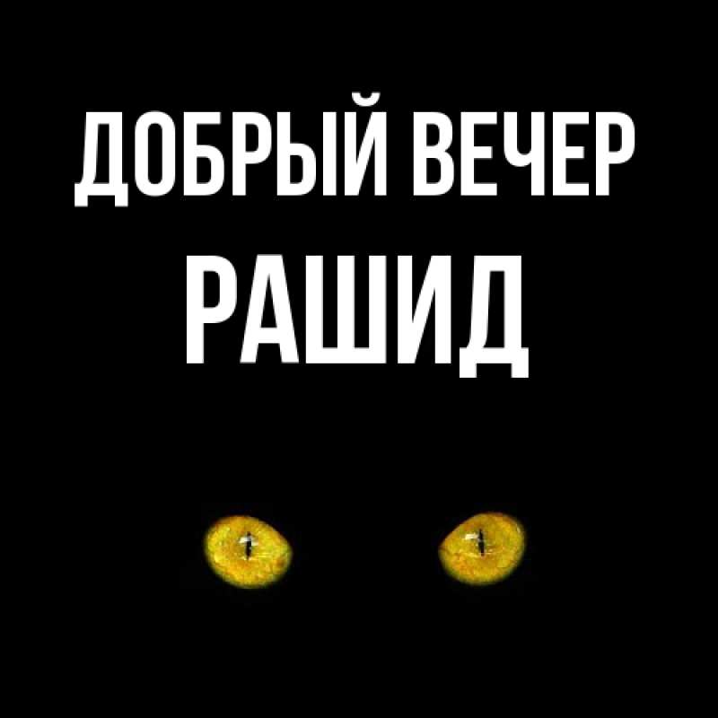 Картинка Добрый вечер, Рашид