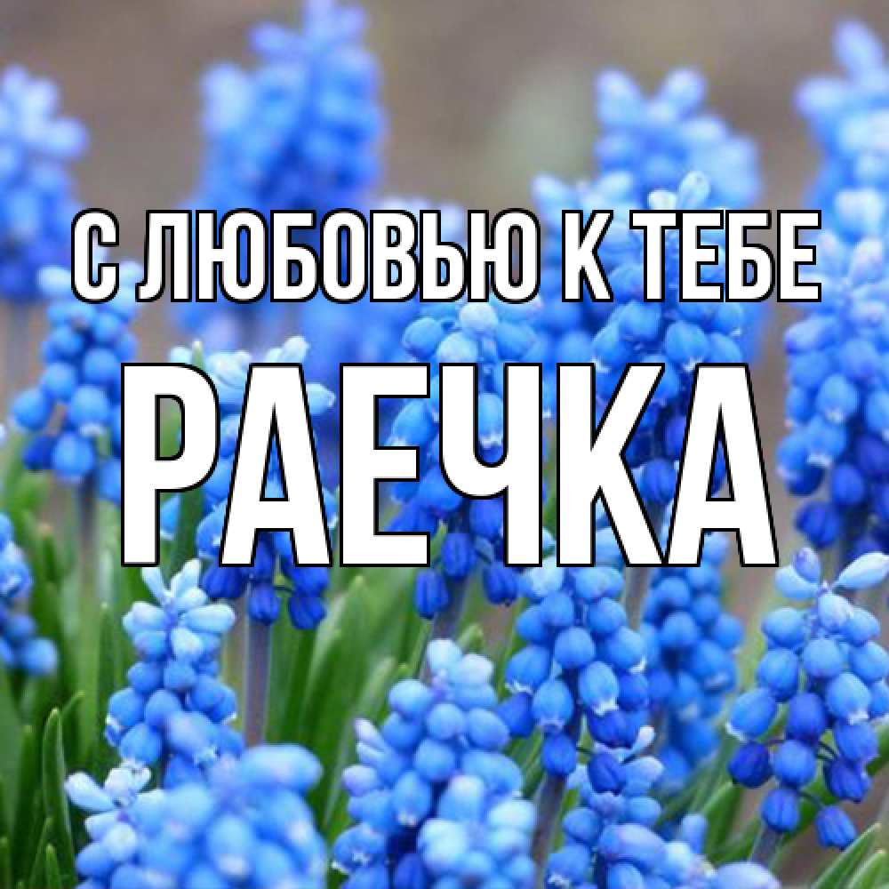 Открытка  с именем. Раечка, С любовью к тебе  