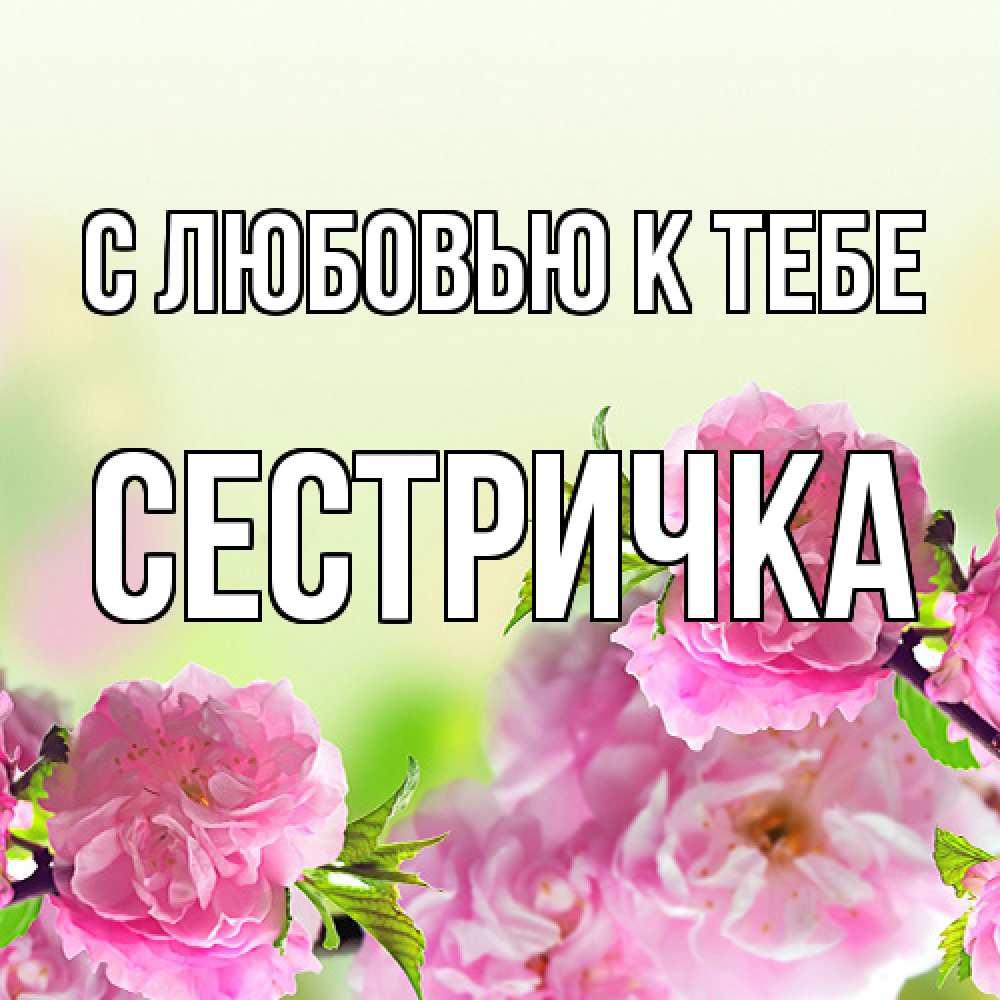 Открытка  с именем. Сестричка, С любовью к тебе  