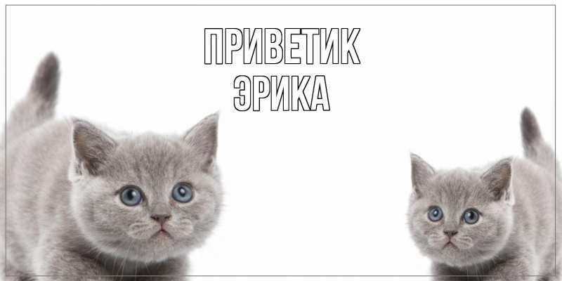 Открытка с именем, Эрика, приветик