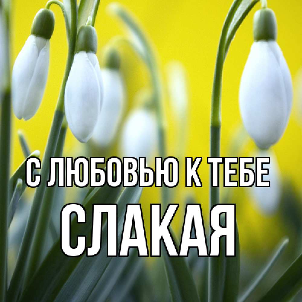 Открытка  с именем. Слакая, С любовью к тебе  