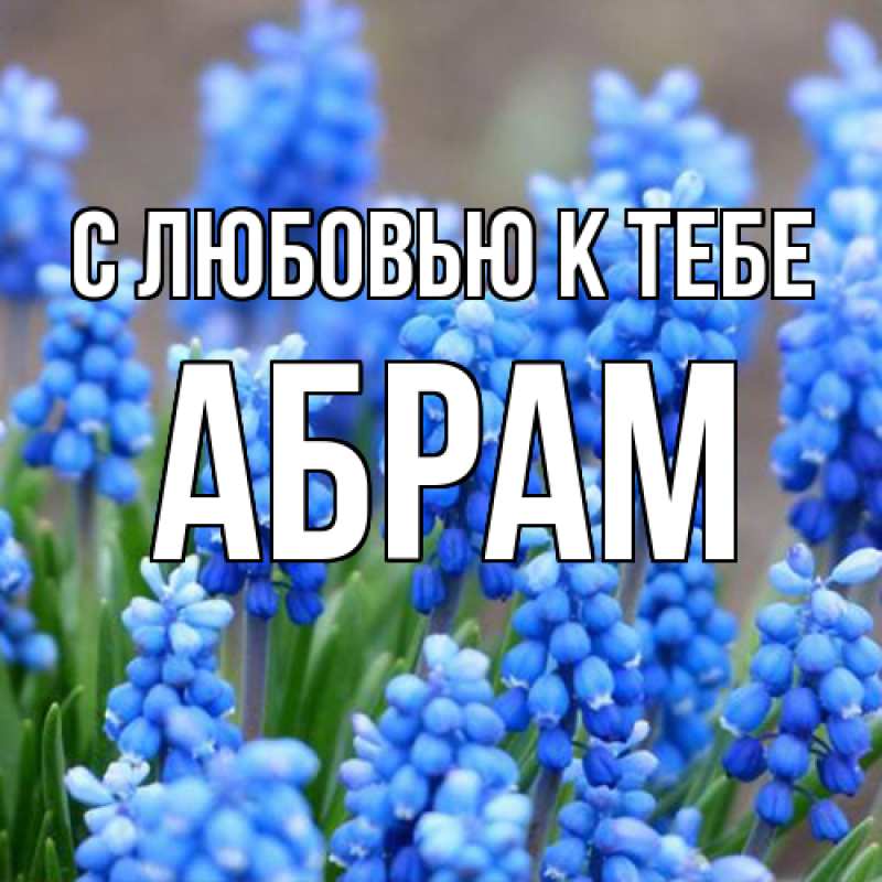 Картинка С любовью к тебе, Абрам