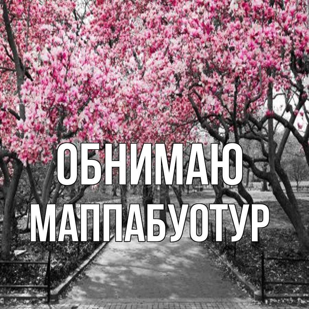 Открытка  с именем. МаппаБуотур, Обнимаю  