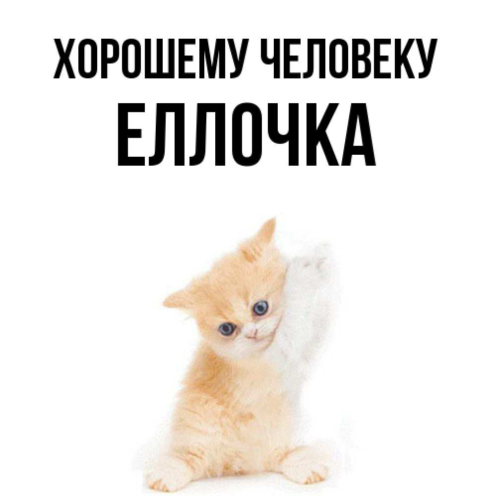 Открытка  с именем. Еллочка, Хорошему человеку  