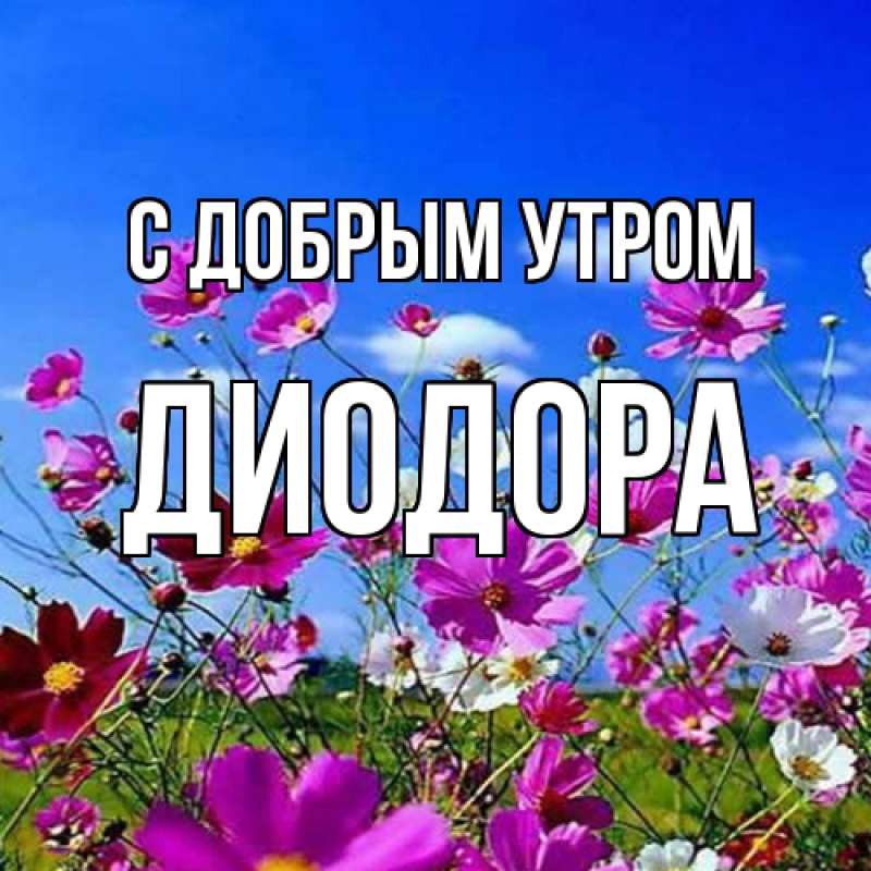 Картинка С добрым утром, Диодора